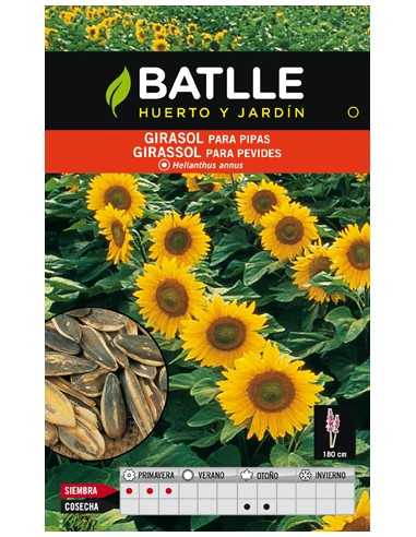 GIRASOL PARA PIPAS. BATLLE