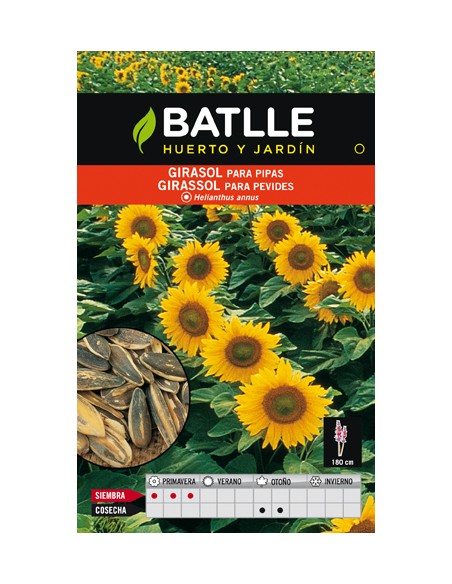 GIRASOL PARA PIPAS. BATLLE