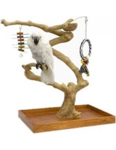 SUN PARROTS ARBOL MINI Medium (57x37 Alt.50-56cm.)