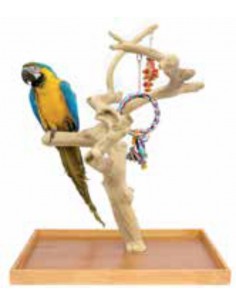 SUN PARROTS ARBOL MINI Large +COMEDERO JAVA Ref.bowl-s
