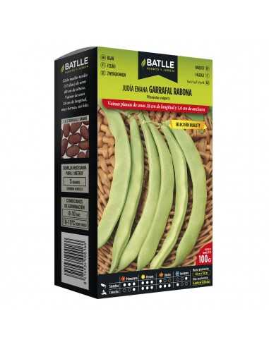 JUDIA GARRAFAL RABONA 100 GR.ENANA