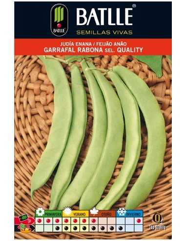 JUDIA GARRAFAL RABONA 100 GR.ENANA