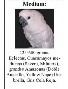 SUN PARROTS ARNES MEDIUM LOROS