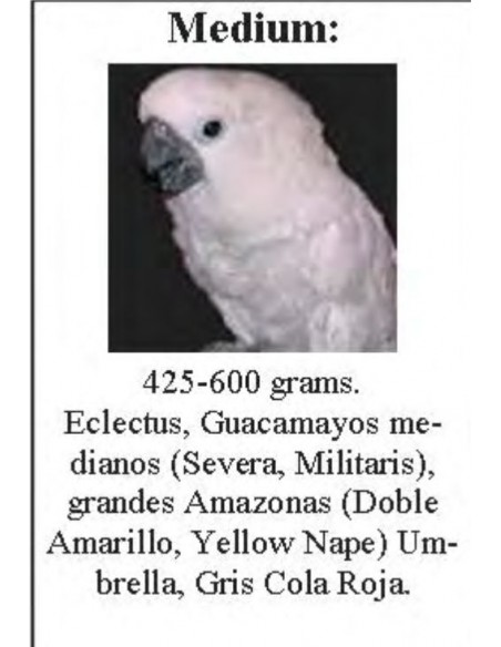 SUN PARROTS ARNES MEDIUM LOROS