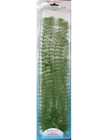 PLANTA AMBULIA PLUS (28-33CM)