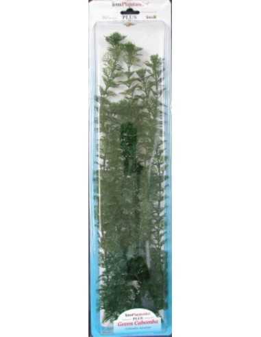 PLANTA CABOMBA PLUS (28-33CM) L