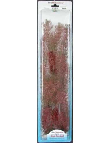 PLANTA FOXTAIL (28-33CM)
