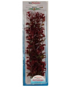 PLANTA RED LUWIGIA PLUS (46CM)