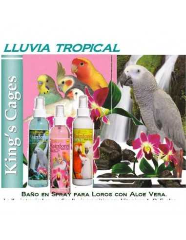 SUN PARROTS LLUVIA TROPICAL 240ML. BABY POWDER