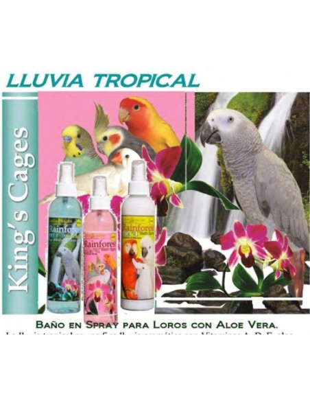 SUN PARROTS LLUVIA TROPICAL 240ML. BABY POWDER