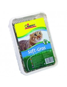 HIERBA GATO AROMA PRADO 150GR.GIMPET