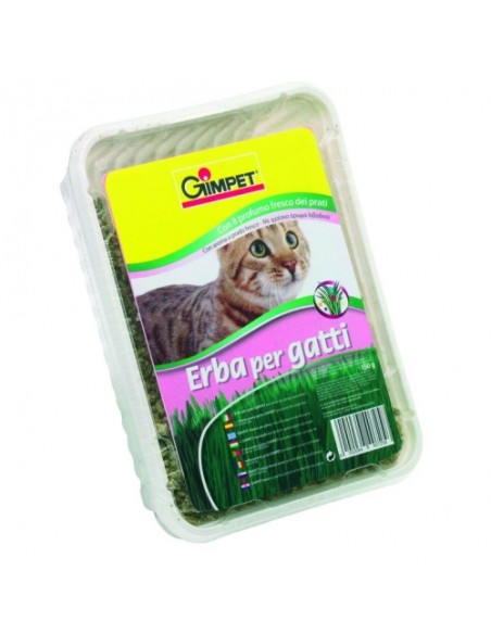 HIERBA GATO AROMA PRADO 150GR.GIMPET