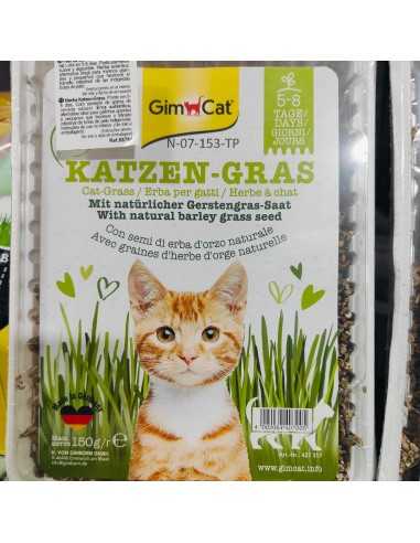 HIERBA GATO AROMA PRADO 150GR.GIMPET