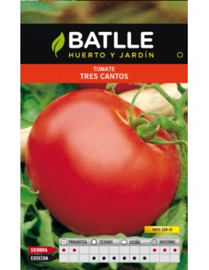 TOMATE TRES CANTOS SOBRE