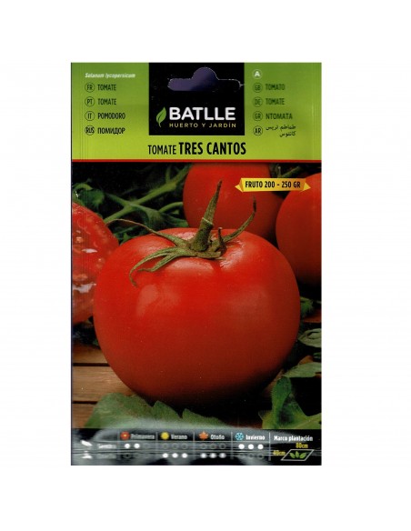 TOMATE TRES CANTOS SOBRE TOMATE TRES CANTOS SOBRE