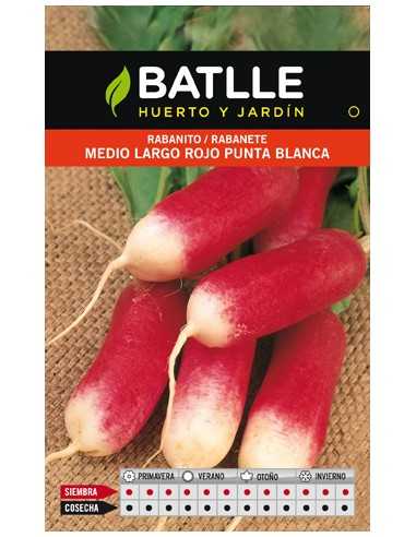 RABANITO MEDIO LARGO ROJO P.BLANCA.SOBRE