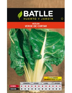 ACELGA VERDE DE CORTAR MOMONTA SOBRE
