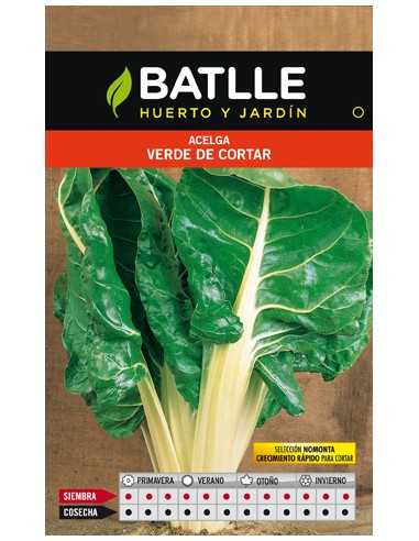 ACELGA VERDE DE CORTAR MOMONTA SOBRE