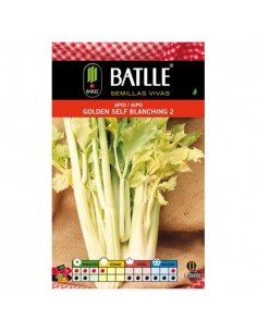 APIO GOLDEN BLANCHING SOBRE