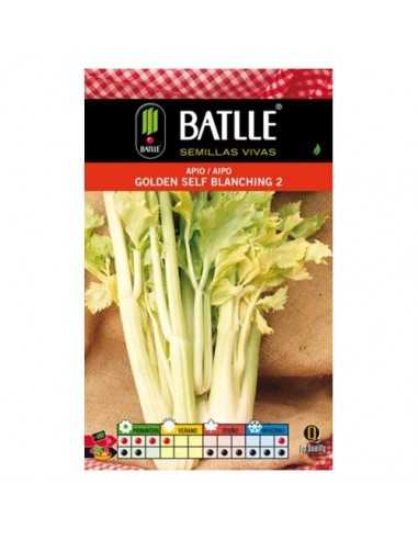 APIO GOLDEN BLANCHING SOBRE