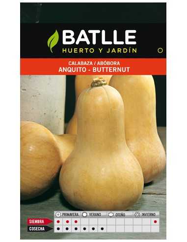 CALABAZA ANQUITO-BUTTERNUT SOBRE