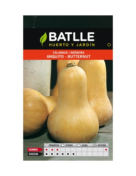 CALABAZA ANQUITO-BUTTERNUT SOBRE