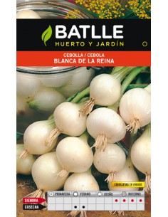 CEBOLLA BLANCA DE LA REINA SOBRE