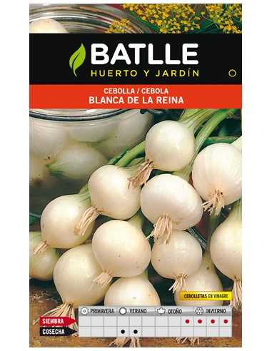 CEBOLLA BLANCA DE LA REINA SOBRE