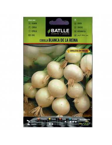 CEBOLLA BLANCA DE LA REINA SOBRE