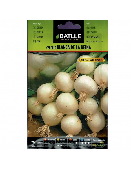 CEBOLLA BLANCA DE LA REINA SOBRE