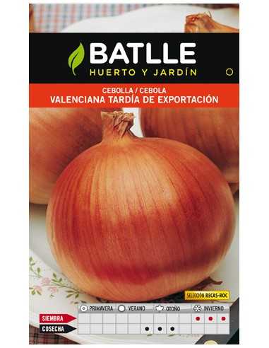 CEBOLLA VALENCIANA TARDIA RECAS SOBRE