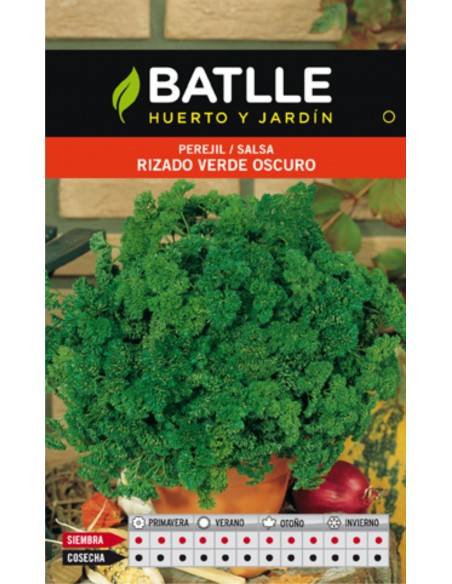 PEREJIL RIZADO VERDE OSCURO