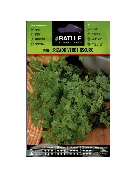 PEREJIL RIZADO VERDE OSCURO