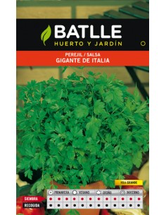 PEREJIL GIGANTE ITALIA SOBRE