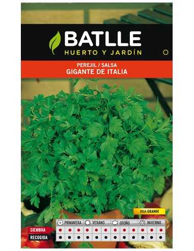 PEREJIL GIGANTE ITALIA SOBRE