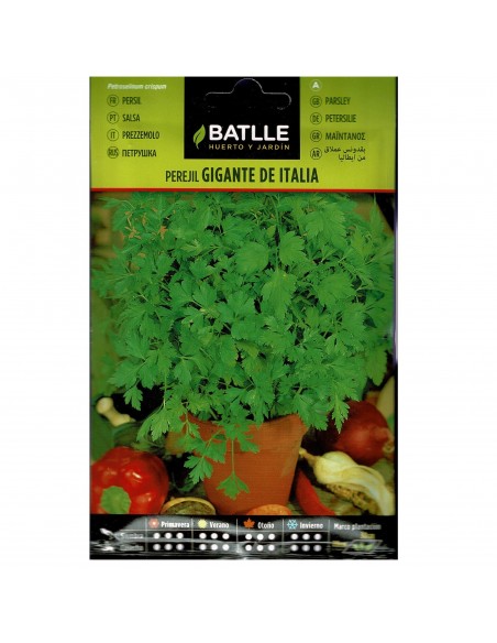 PEREJIL GIGANTE ITALIA SOBRE