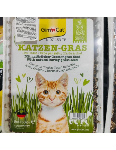 HIERBA GATO VITAMINADA CON TGOS 100gr.GIMPET HIERBA GATO VITAMINADA CON TGOS 100gr.GIMPET