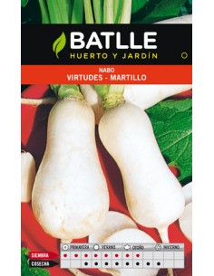 NABO VIRTUDES-MARTILLO MUY PRECOZ