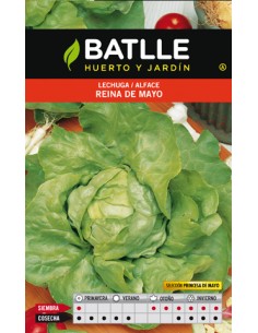 LECHUGA R.MAYO-PRINCESA Sobre
