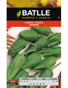 PIMIENTO DEL PADRON SOBRE
