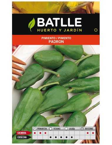 PIMIENTO DEL PADRON SOBRE