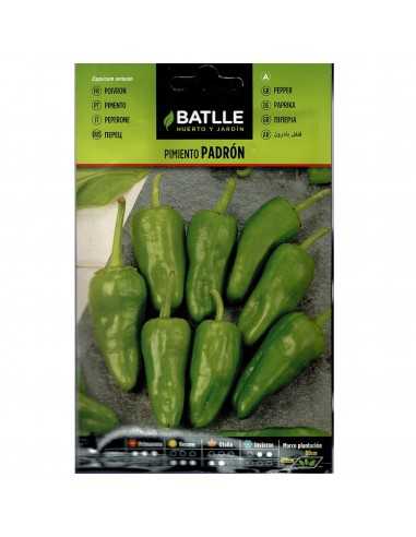 PIMIENTO DEL PADRON SOBRE