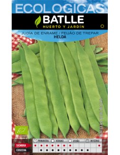 JUDIA HELDA ECOLOGICA SOBRE