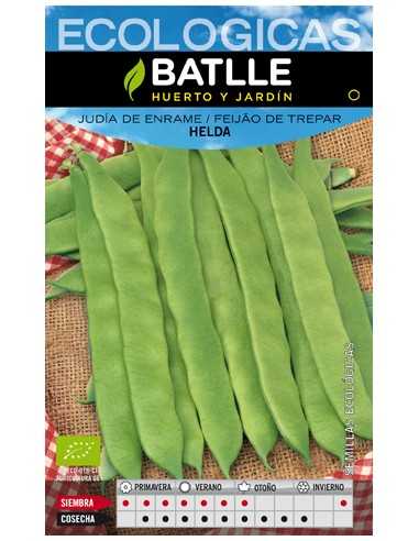JUDIA HELDA ECOLOGICA SOBRE