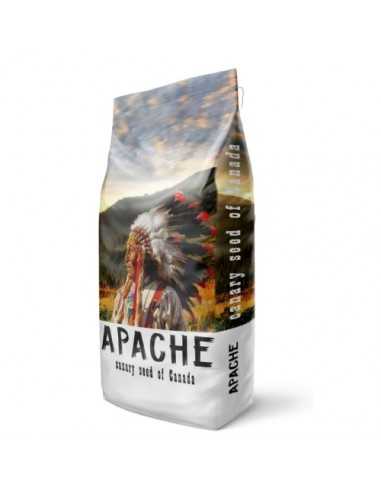 ALPISTE CANADA APACHE 25 KG.