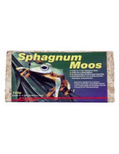 LUCKY REP SPAGHNUM MOSS 100G