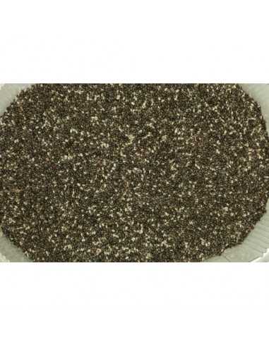 CHIA (SALVIA HISPANICA) TARRINA 550 GR.