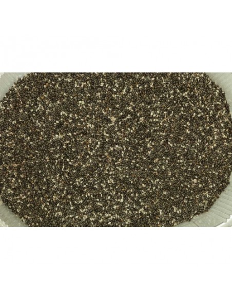 CHIA (SALVIA HISPANICA) TARRINA 550 GR.