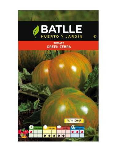 TOMATE GREEN ZEBRA-TIGRE