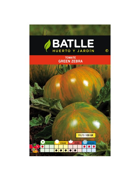 TOMATE GREEN ZEBRA-TIGRE